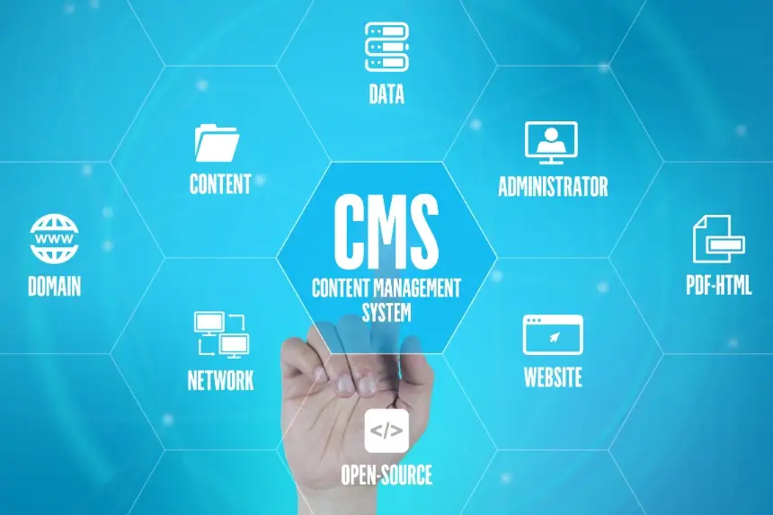 Best Content Management System for Small Business