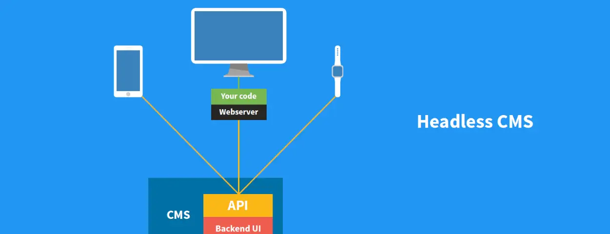Best headless cms for nextjs to power your dream project
